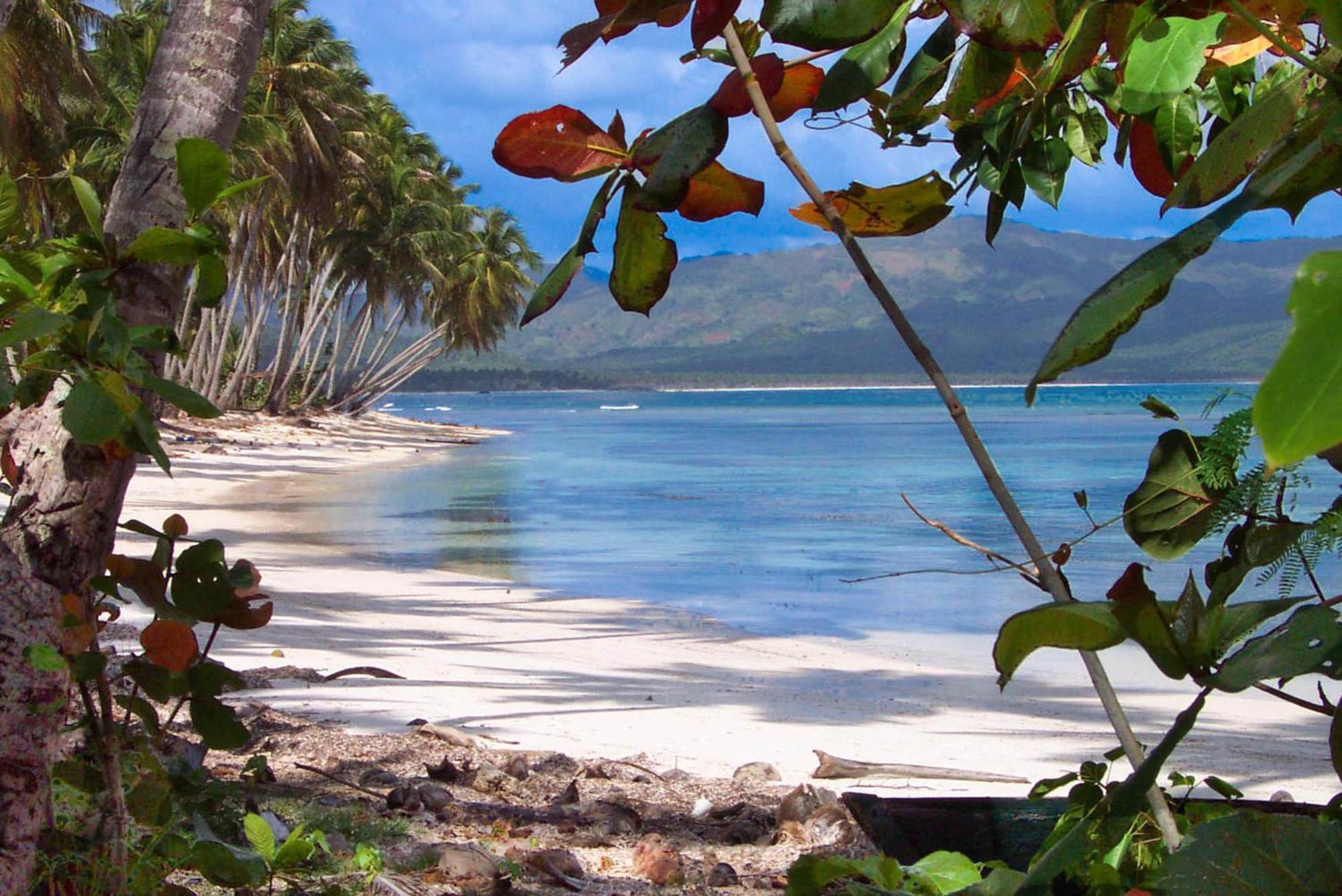 Las Mariposas Las Galeras Eksteriør bilde