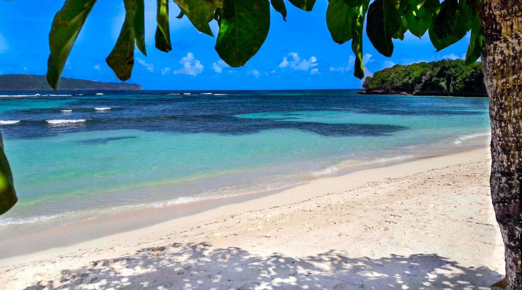 Las Mariposas Las Galeras Eksteriør bilde