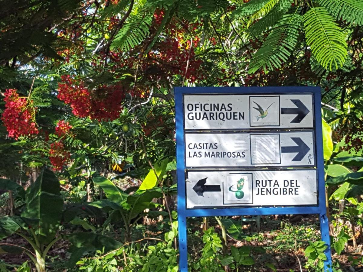 Las Mariposas Las Galeras Eksteriør bilde
